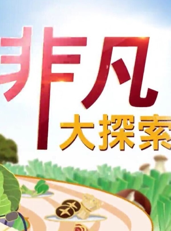 迷奸系列变态男偷配房门钥匙入室掐晕少妇扒光玩弄啪啪 - 麦田影院海报