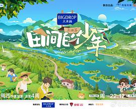 小麻豆是什么意思 - 麦田影院海报